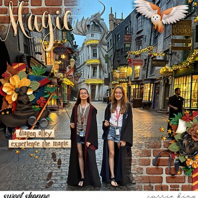 Diagon Alley