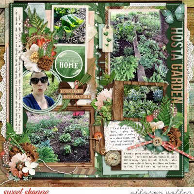 Hosta Garden