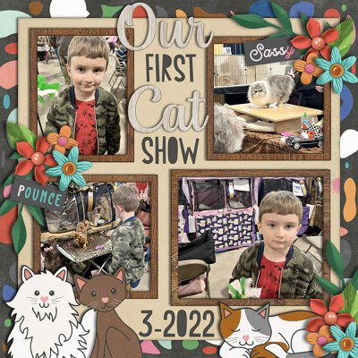 Cat Show