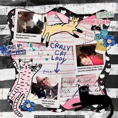 2008--2021-Crazy-Cat-Lady