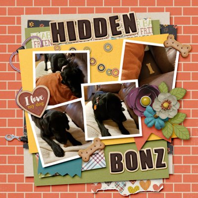 2A_Hidden Bonz