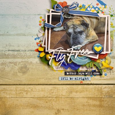 Fly Free