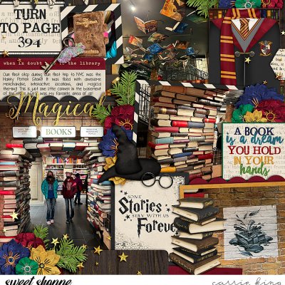 Harry Potter New York