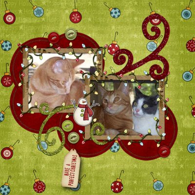 Kitty Cats