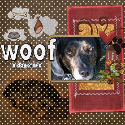 Woof - a dog's life