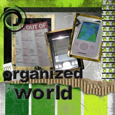 My Organized World