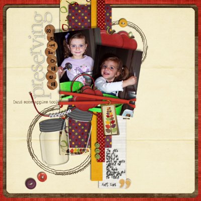 Preserving Memories