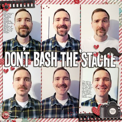 Don't Bash the 'Stache
