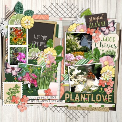 Love my garden