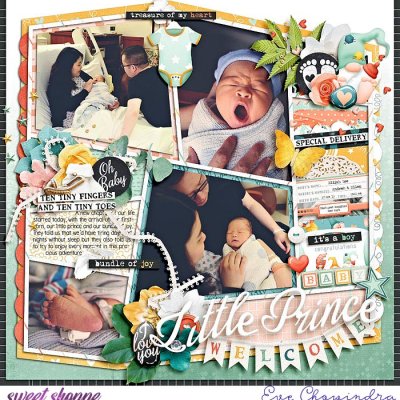 welcome little prince