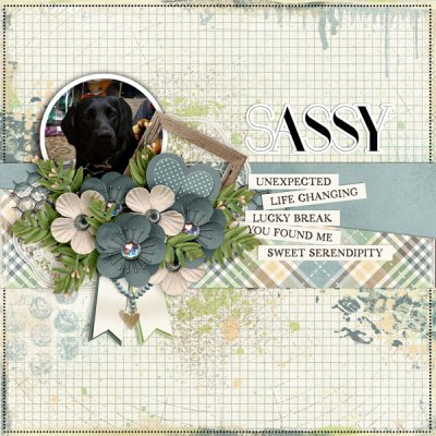 12B_Lucky You Found Me