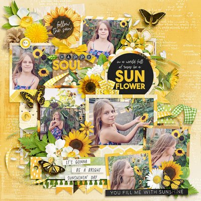 Sunflower