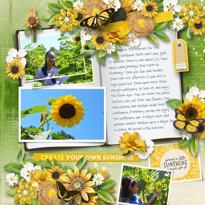 Sunshine