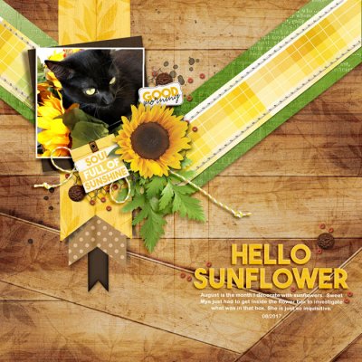 Hello Sunflower