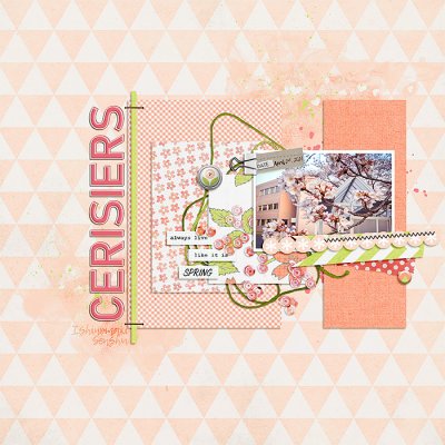 Cherry Blossoms