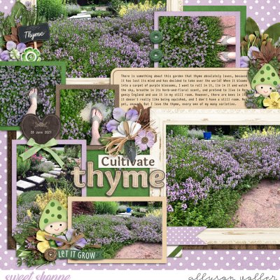 Cultivating Thyme