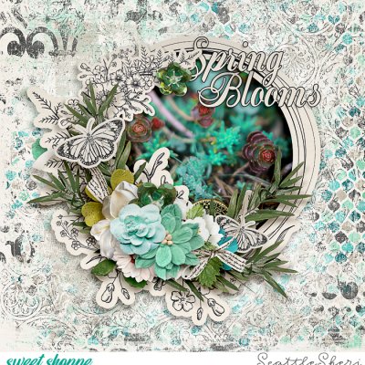 Spring Blooms