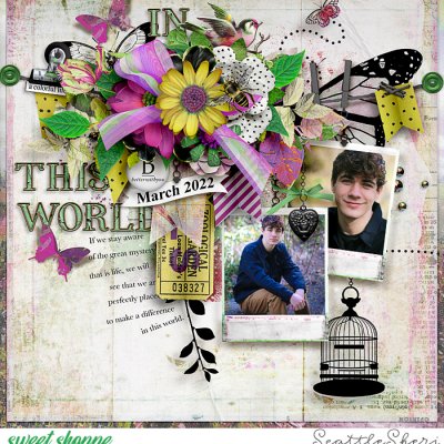 In This World