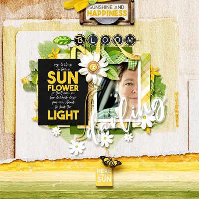 Follow the Sun