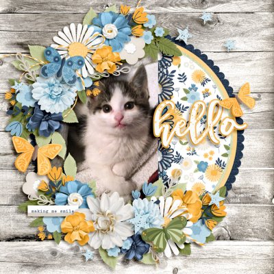 hello