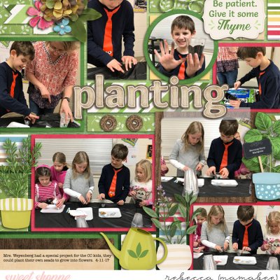 planting