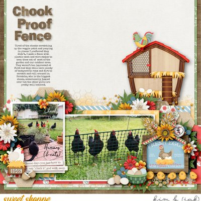 Chook Proof Fence