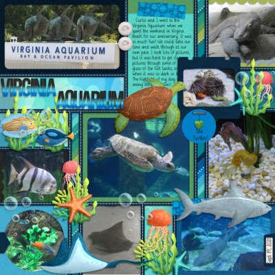 Virginia Aquarium