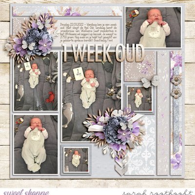 One Week Old