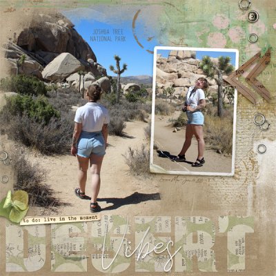 Desert Vibes