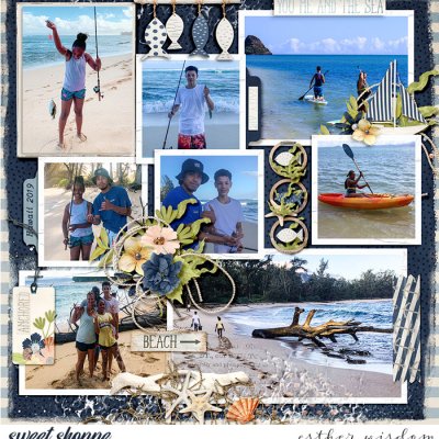 Hawaii Beach