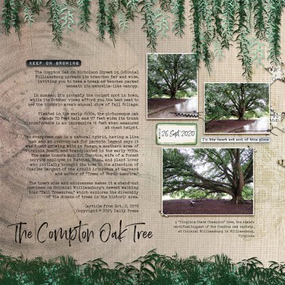 The Compton Oak Tree