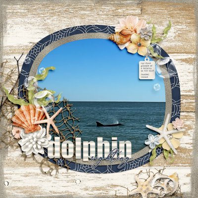 ~Dolphin Sighting~