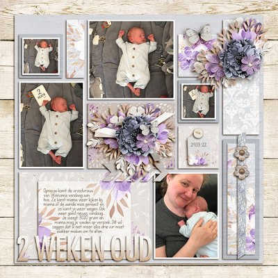Two weeks old