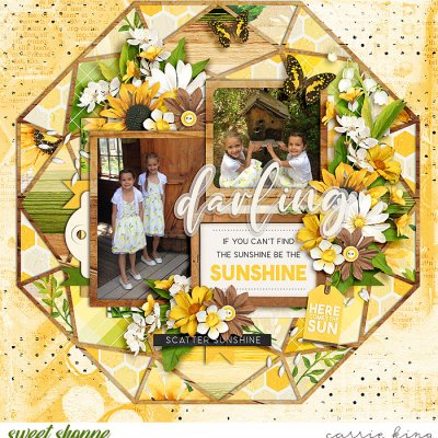 Be the Sunshine