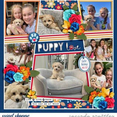 Puppy Love