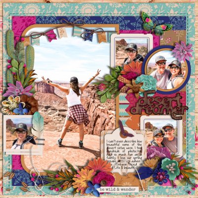 desert dreamer