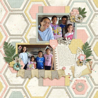 KK_PTD_YS_MFish_EHex