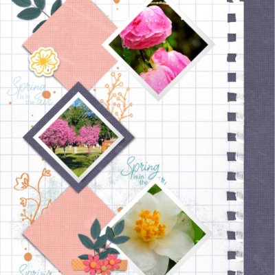 prd_224Challenge