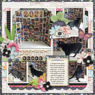 Photo Board