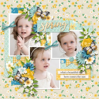 A pocketful of daisies