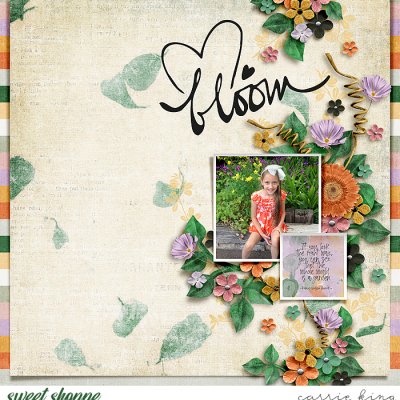 Bloom