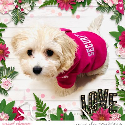 Love - 4b