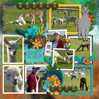 Alpaca Farm