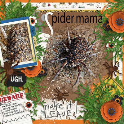 Spider-mama-1000x1000