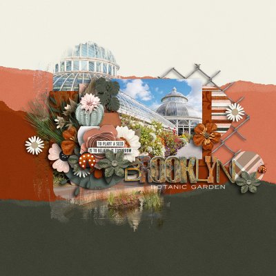 Brooklyn Botanic Garden