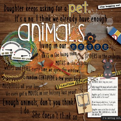 Animals in our house