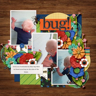 Bug
