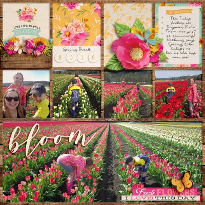 Bloom