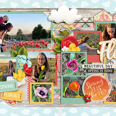 Tulip Picking