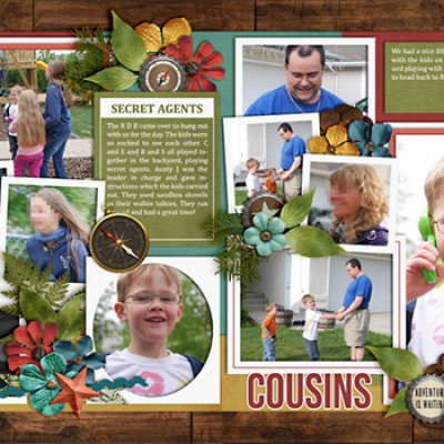 Cousins